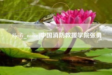 涟源中国消防救援学院张勇