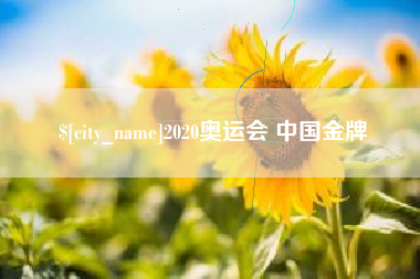 涟源2020奥运会 中国金牌