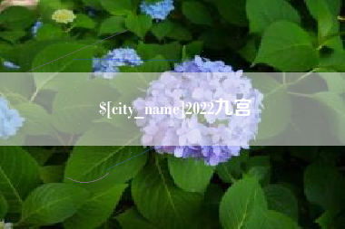 涟源2022九宫