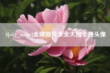 涟源金牌图片大全大图卡通头像