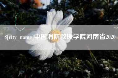 涟源中国消防救援学院河南省2020